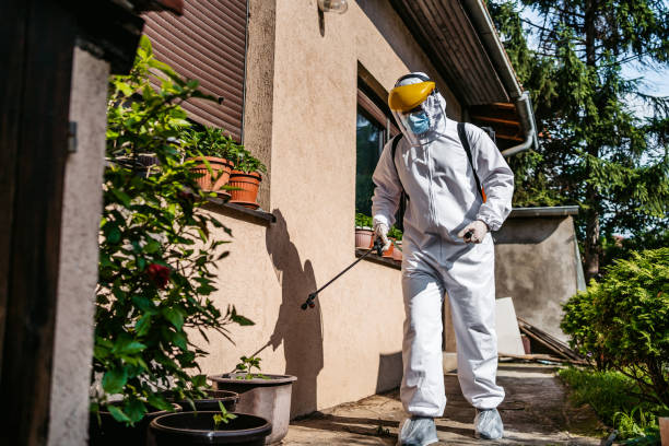 Best Cockroach Control Services  in Rensselaer, NY