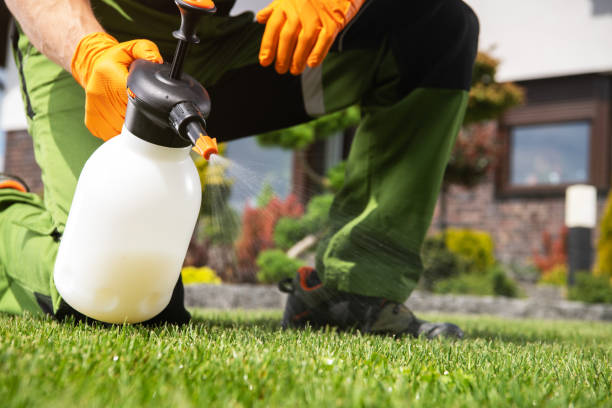 Best Affordable Pest Control Services  in Rensselaer, NY