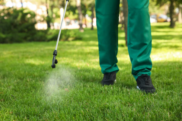 Professional Pest Control in Rensselaer, NY