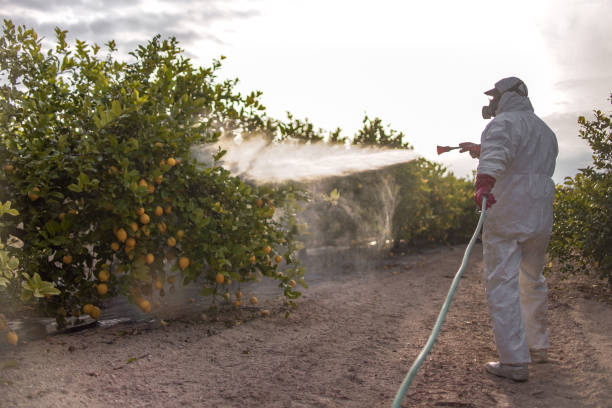 Best Mosquito Control Services  in Rensselaer, NY