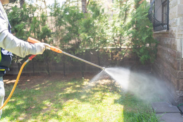 Best Spider Control Near Me  in Rensselaer, NY
