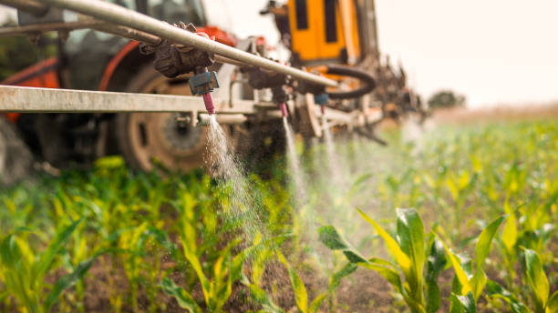 Best Wildlife Control Services  in Rensselaer, NY